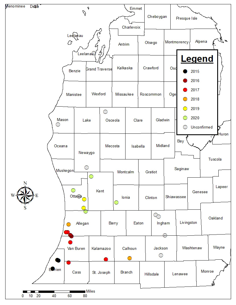 Map of Michigan